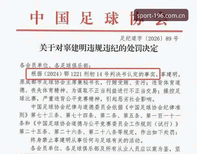 196TY体育官网必备 足协禁足处罚 vs 赛事数据平台:如何从196娱乐APP视角解读这场风波?